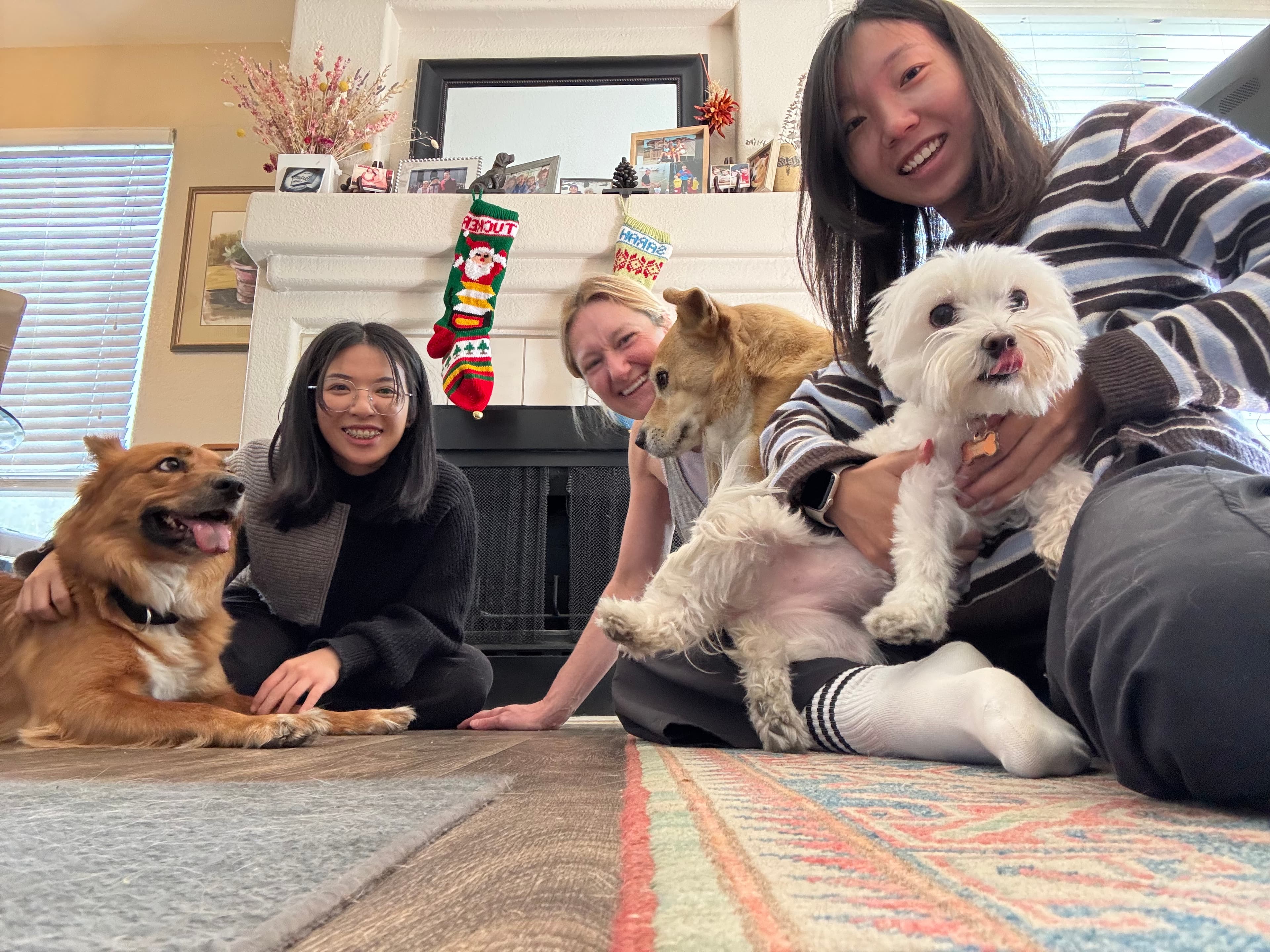 Yuxin Lin with a chosen family of humans and dogs gathered together at home.